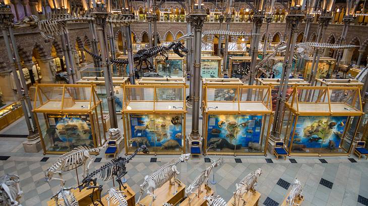 Make sure to include the Pitt Rivers Museum in your Oxford day trip