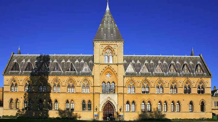 Don't forget to add the Museum of Natural History to your Oxford itinerary