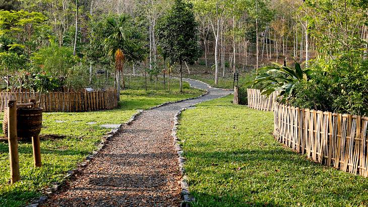 A pebble pathway through the grass next to a fence and trees