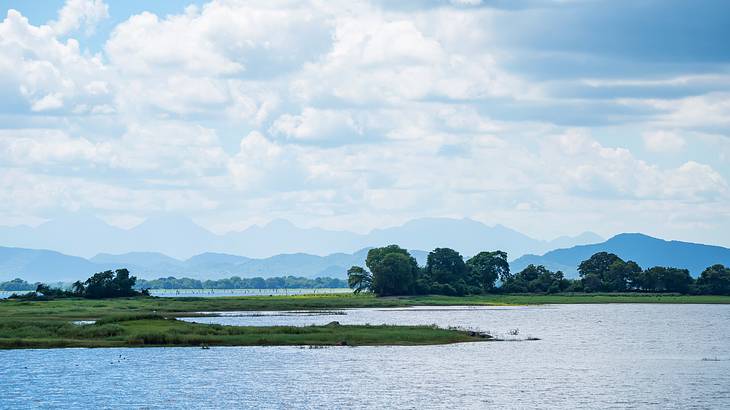 A body of water with an island with trees and grass next to a mountain range