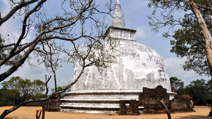 A big white dome with a cone on the top surrounded by trees and sand