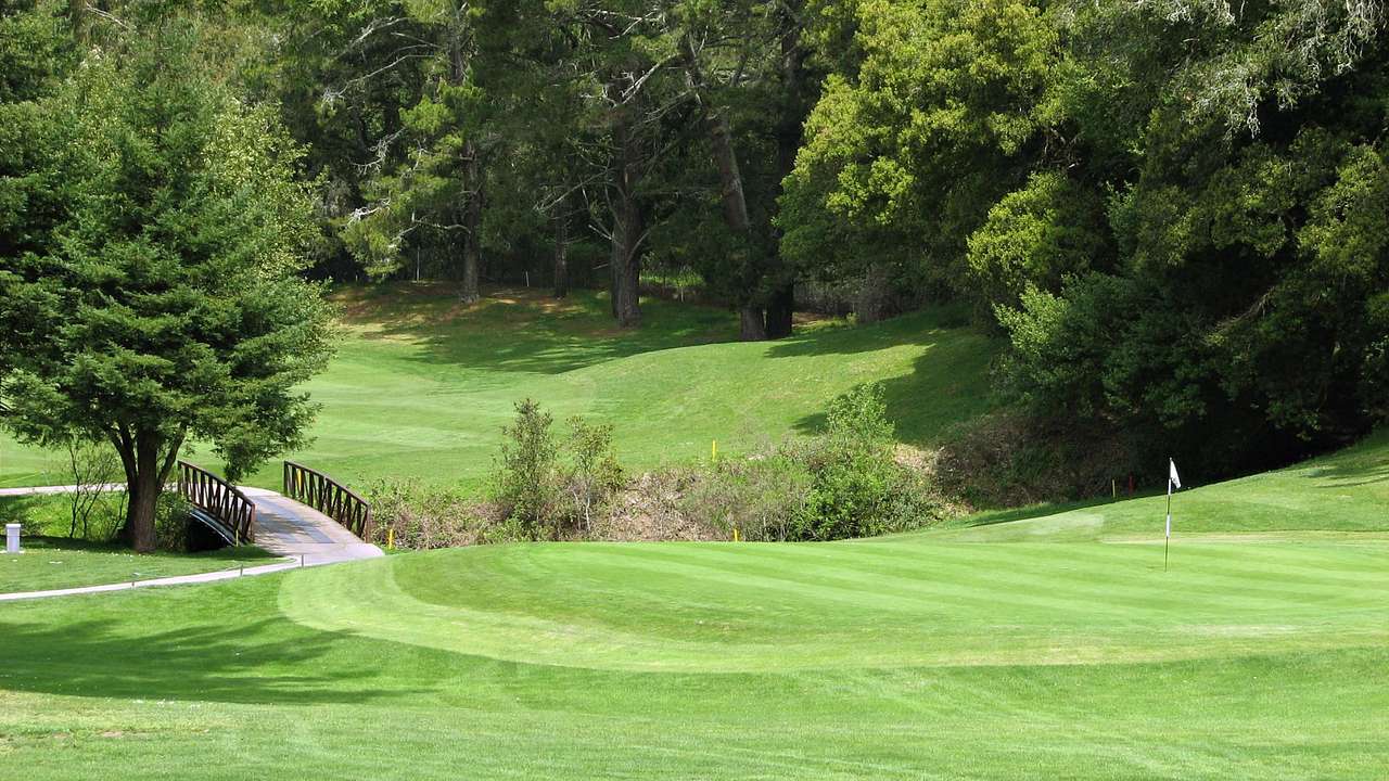 A green golf course with a flag and a small bridge next to green trees