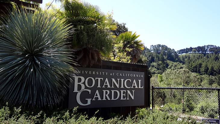 A board that reads "University of California Botanical Garden," surrounded by trees