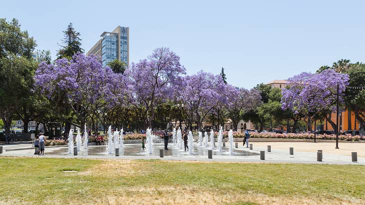 A park with small fountains in the center next to green and purple trees