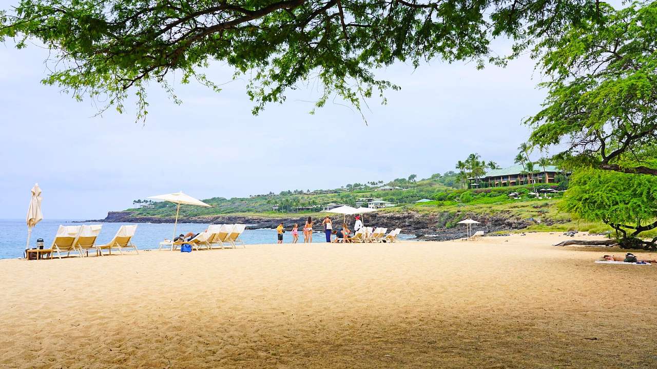 A sandy beach with sun loungers and trees next to the ocean under an overcast sky