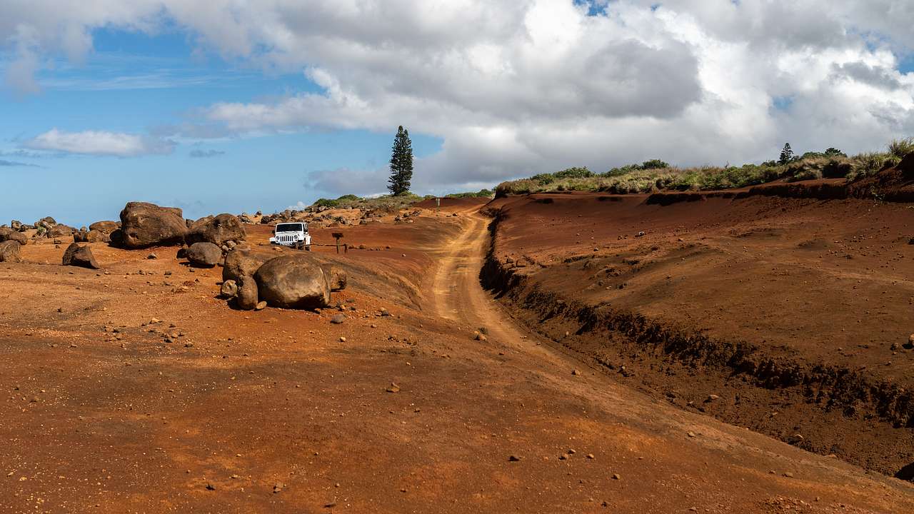 A jeep parked in an area with red sand, some boulders, and a tree