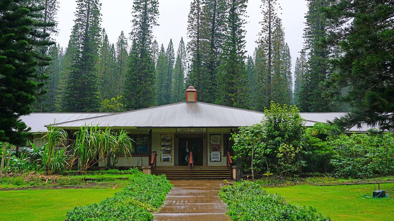 A house with a walkway to its entrance, surrounded by greenery on a rainy day