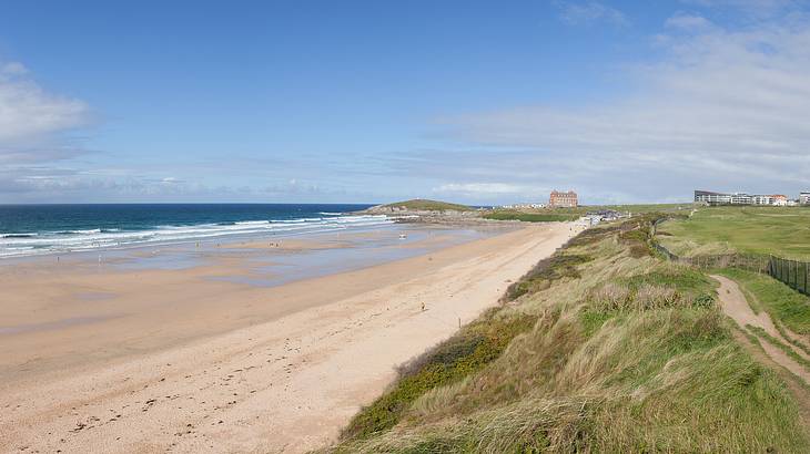 A sandy beach next to the ocean and greenery with buildings in the distance