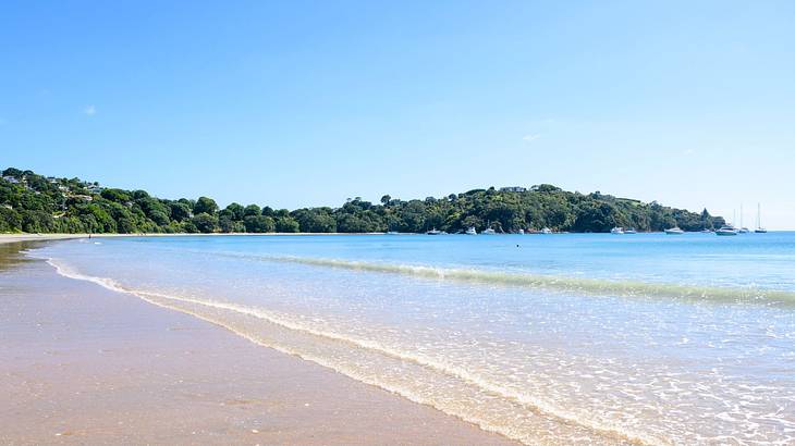 Waves lapping onto the sand next to a greenery-covered mountain under a blue sky