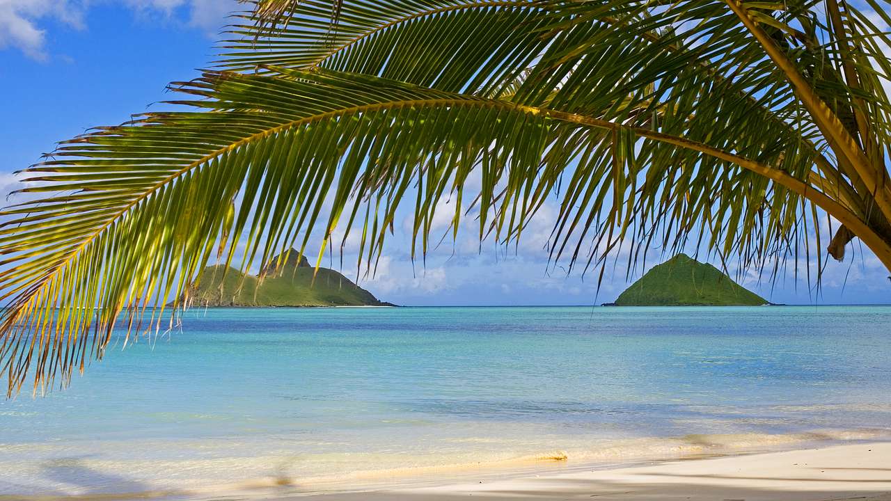 A white sand beach with clear waters with a tree on the side and two islands in front