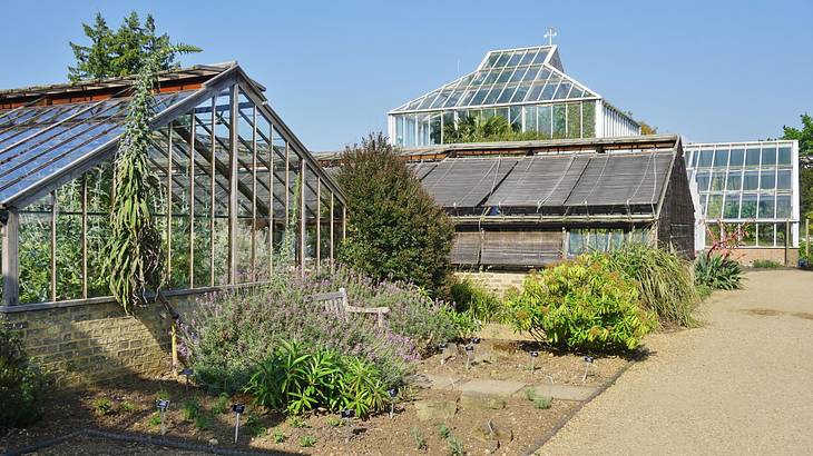 A garden with glass greenhouses and green plants next to a path