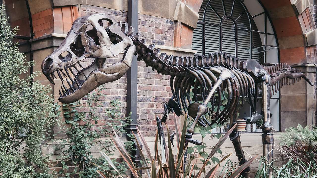 A skeleton of a T-rex standing outside a brick building surrounded by plants