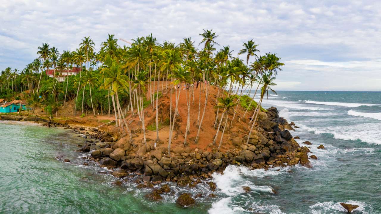 A hill with many coconut trees and rocks along the shoreline with waves rushing by