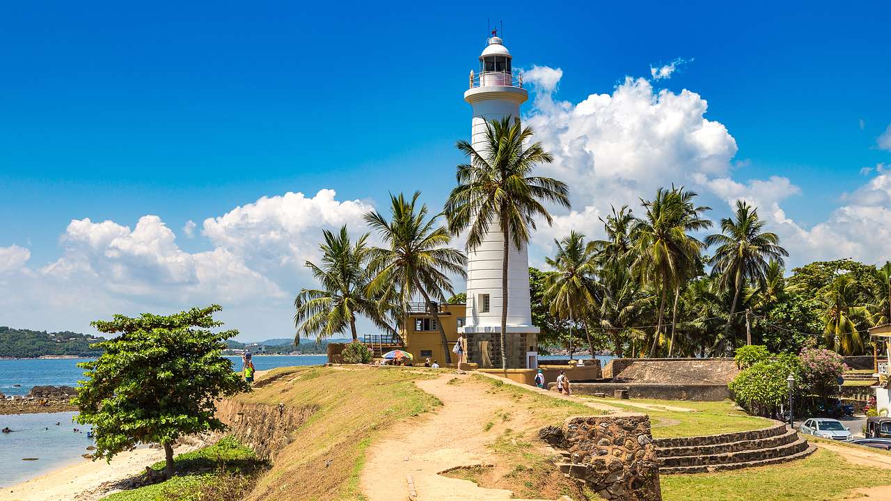 A lighthouse surrounded by palm trees and people with the shore nearby on a nice day