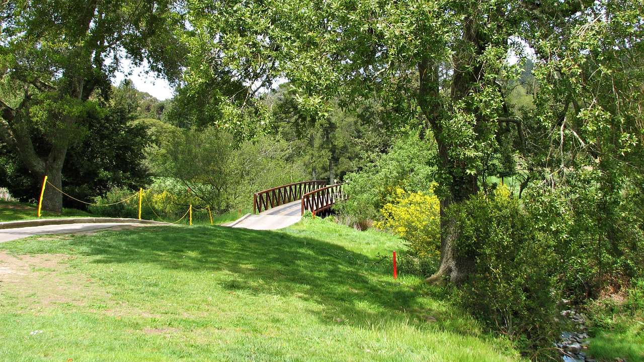 A green grassy area next to a bridge and green trees
