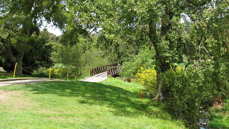 A green grassy area next to a bridge and green trees