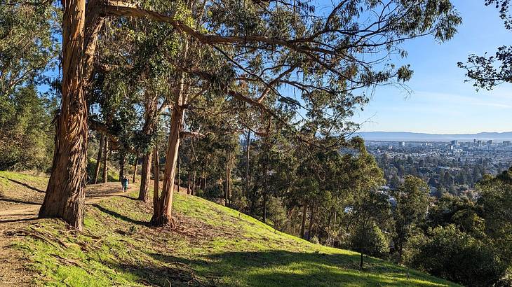 One of the best parks in Berkeley, CA, is Claremont Canyon Regional Preserve