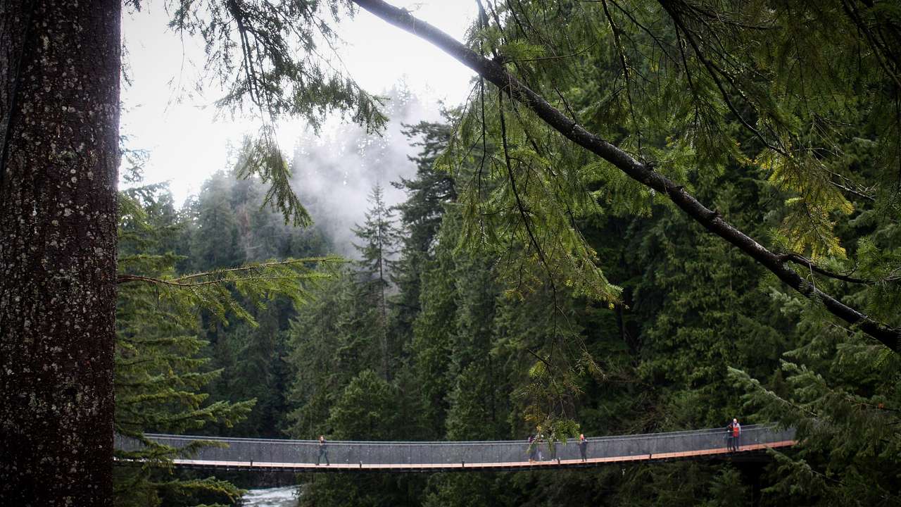 People walking across a suspension bridge surrounded by green trees and clouds