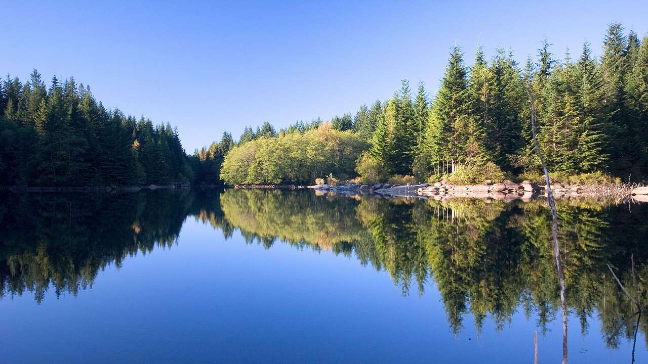 A reflective lake with a rocky shore surrounded by trees under a clear blue sky