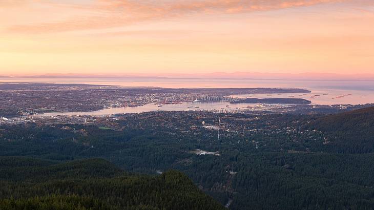 Trees and an urban landscape viewed from the top of a mountain at sunrise