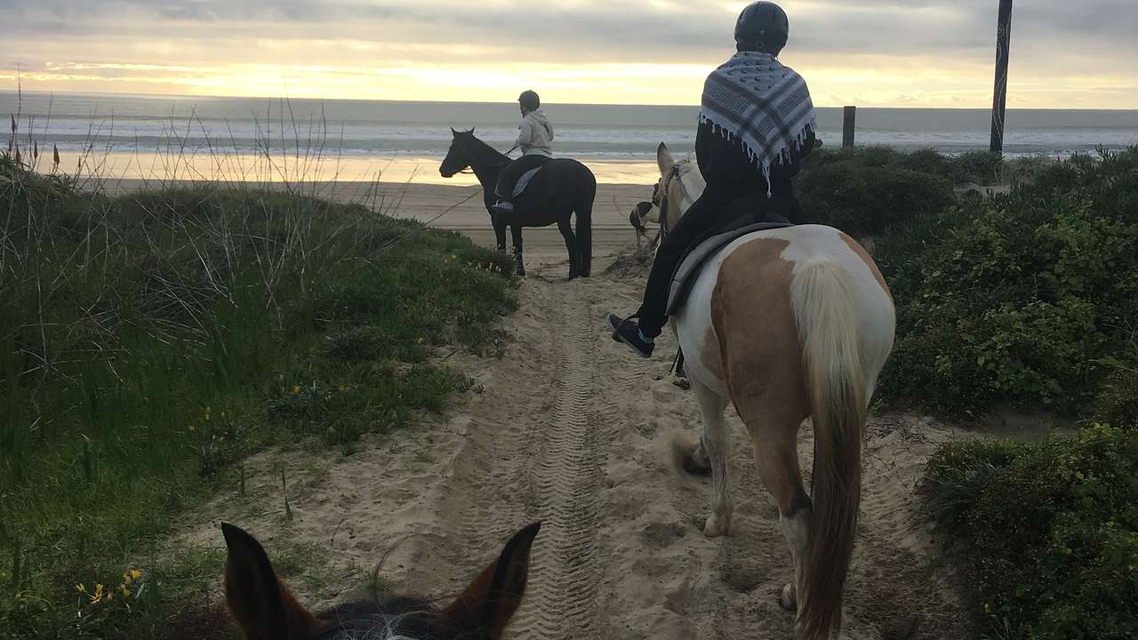 People on horseback on a sandy trail next to the ocean
