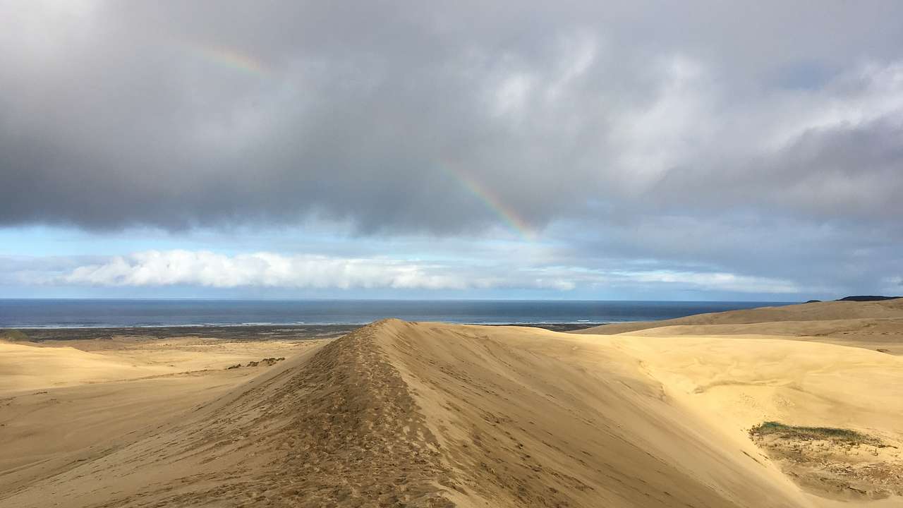 Sand Dunes next to the ocean under an overcast sky