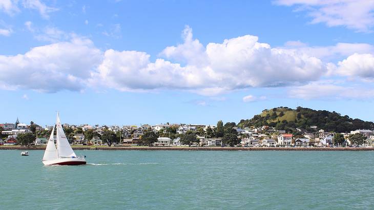 A sailboat on the water next to a greenery-covered hill with buildings on it