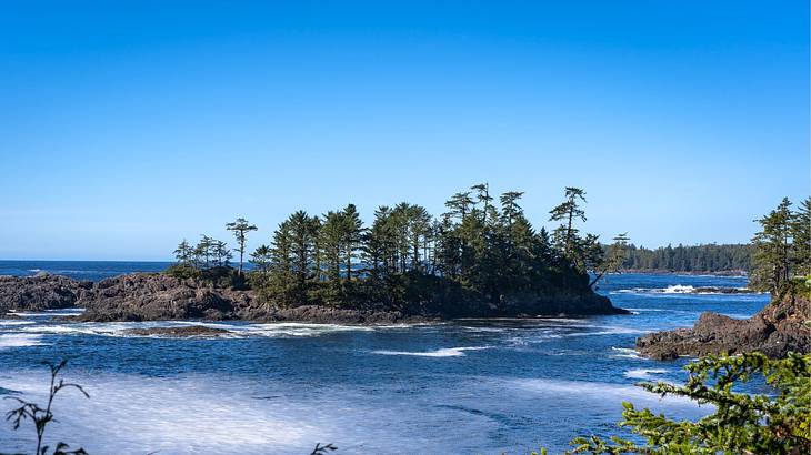 A popular perfect Tofino camping spot is Wild Pacific Camp near Wild Pacific Trail