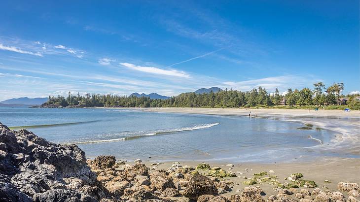 A beach with a sandy shore, rocks, and green trees next to small lapping waves