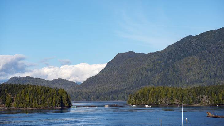 A mountain covered in lush forest next to the sea, under a blue sky with clouds