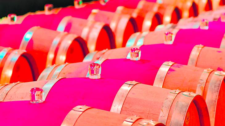 The top of red and wood wine barrels in two rows