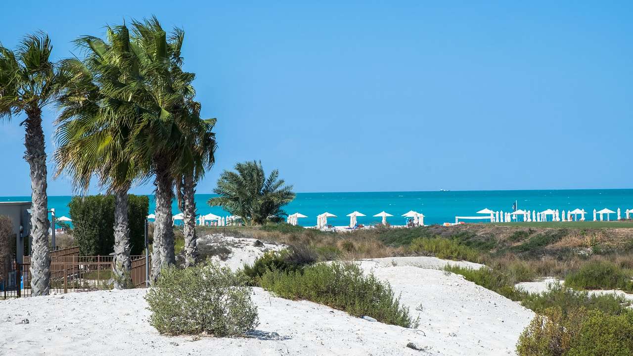 A white-sand beach with palm trees and shrubs and a distant view of the blue ocean
