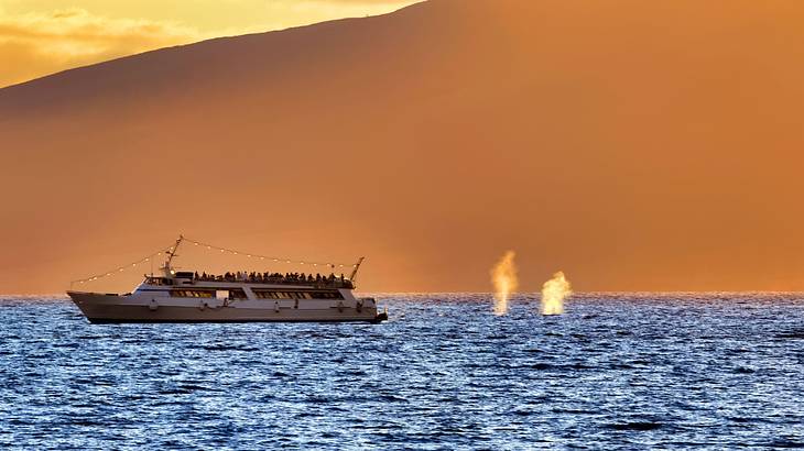 A small cruise ship sailing through the ocean next to a cliff during sunset