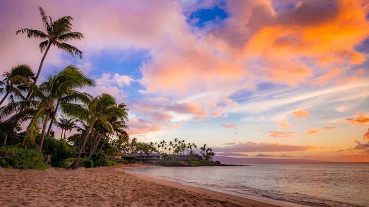 A sandy shore next to palm trees and the ocean under a blue and pink sky at sunset