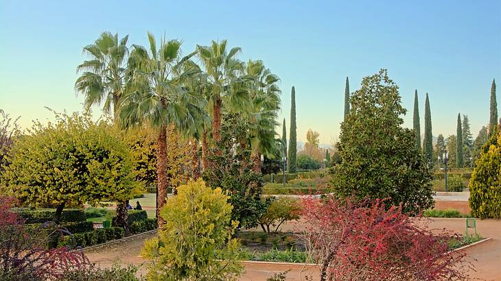 Ronda is where to stay in Granada for a nature-filled trip