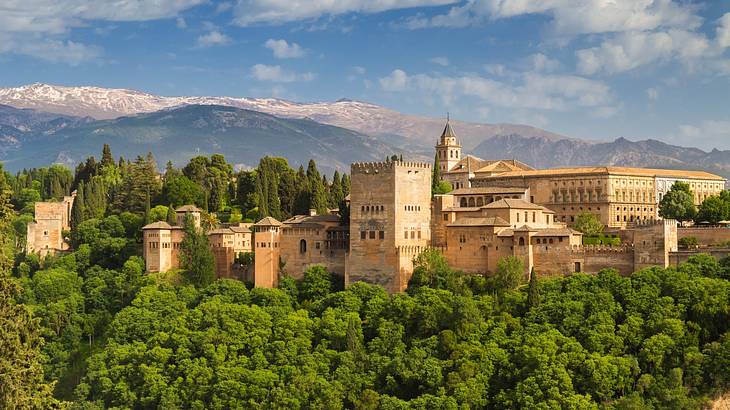 An Islamic-style fortress surrounded by a very dense forest