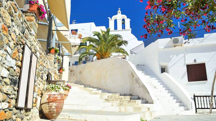 A low-angle shot of white stairs leading to white structures near plants