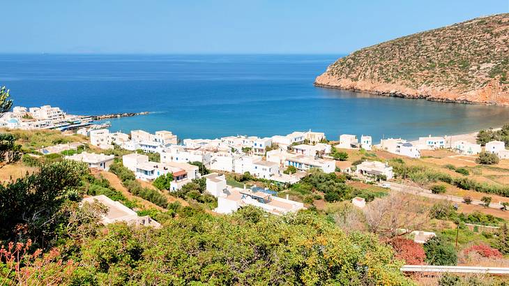 A high-angle shot of a village near trees, a beach cove, and a mountain