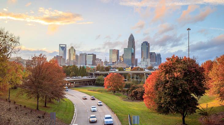 A road with cars next to grass and fall trees, with buildings in the background