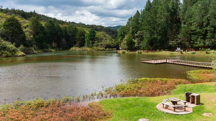 A lake with a walking platform and grass and trees around it under a cloudy sky