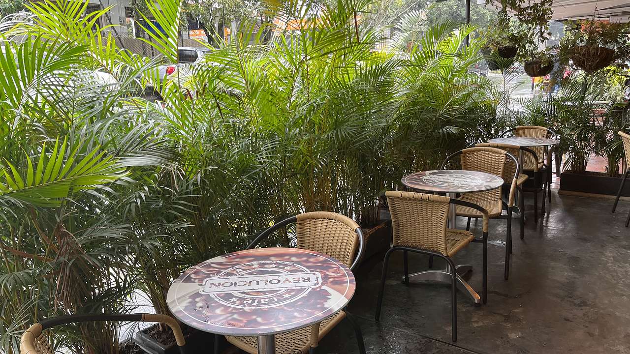 Outside patio tables with chairs lined against tall leafy plants