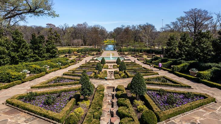 A landscape filled with different plants and blooming flowers