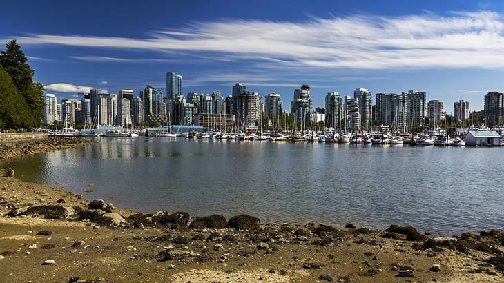 View of a downtown city skyline filled with tall buildings from a park, Vancouver, BC