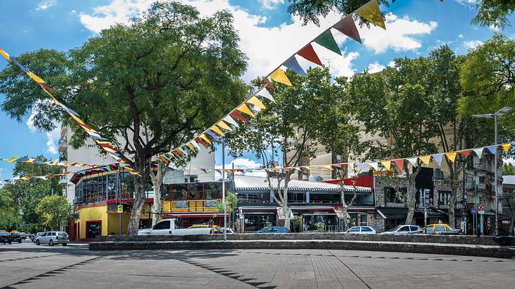 Panoramic street view of shops surrounded with trees and colorful small flags