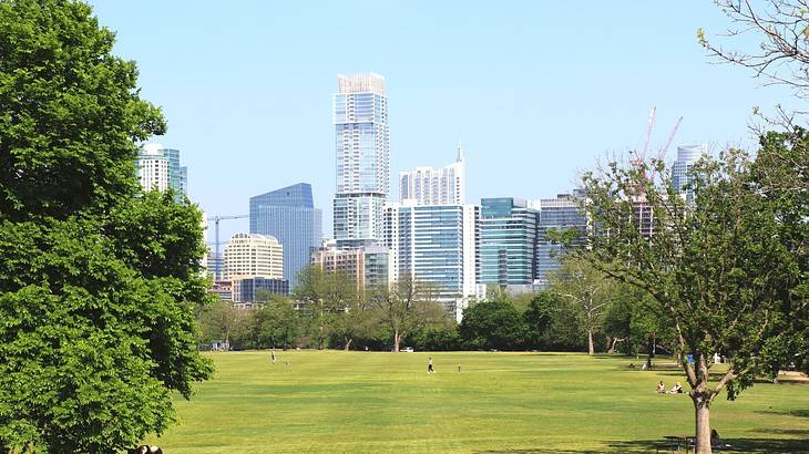 A city skyline and a park with trees and green grass under a clear blue sky