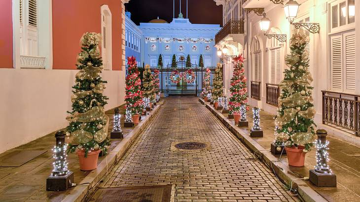 Christmas trees lined up on the sidewalks of a cobbled street next to a white mansion