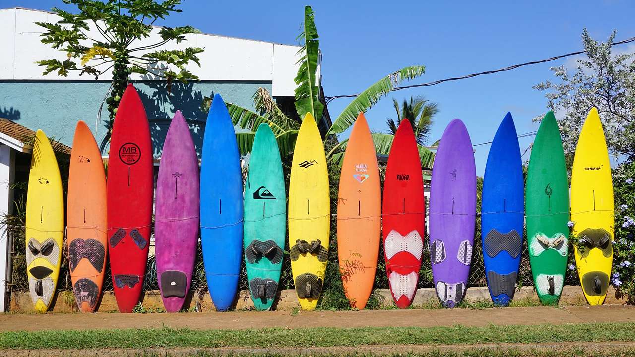 Several colorful surfboards lined up on a sidewalk while leaning on a wired fence