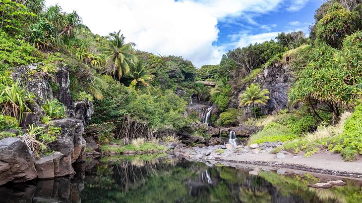 A reflective pool surrounded by lush greenery