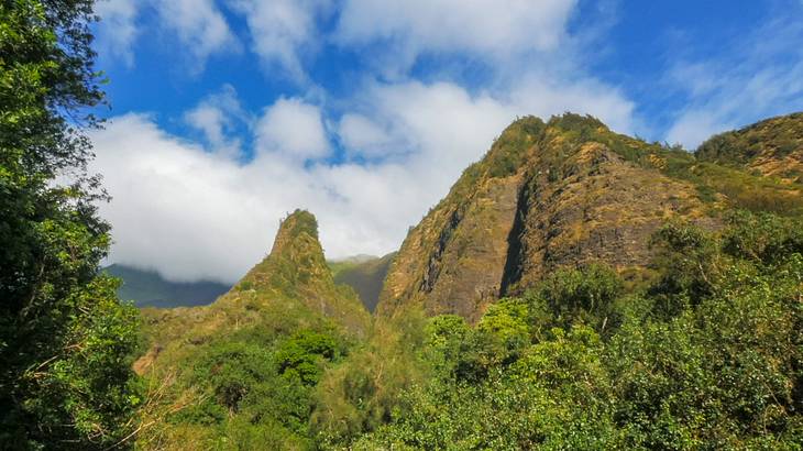 Two tall greenery-covered mountains surrounded by trees under blue sky