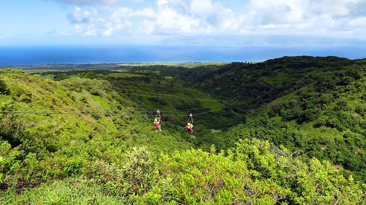 Two people ziplining over a large forest underneath a partly cloudy sky